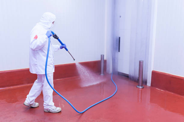 Best Patio and Deck Pressure Washing  in Mec, CA